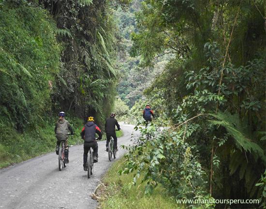 DIA 3: BAMBU LODGE - PILCOPATA - ATALAYA - SOGA DE ORO LODGE