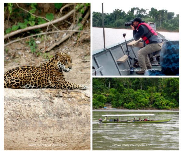 Tag 3.- HUMMINGBIRD LODGE - RESERVATSZONE MANU NATIONALPARK - CASA MATSHIGUENKA.