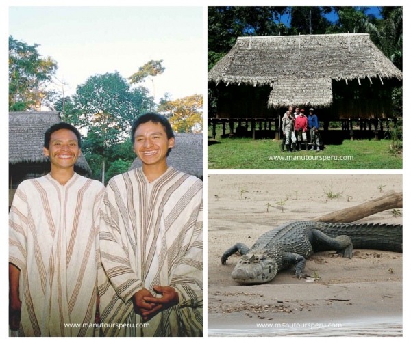 Tag 3.- HUMMINBIRD LODGE - RESERVATSZONE MANU NATIONALPARK - CASA MATSHIGUENKA.