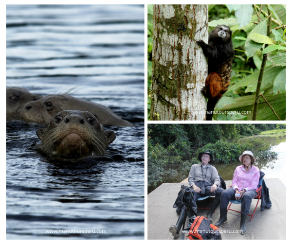 Tag 4: RESERVATSZONE MANU NATIONALPARK - COCHA SALVADOR - COCHA OTORONGO.