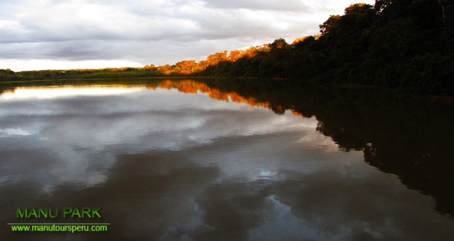 DAY 6. - MAQUISAPYOJ / MANU BIOSPHERE TO CUSCO OR LIMA