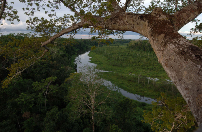 Manu Biosphere