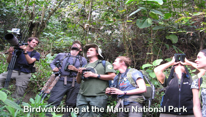 Manu NationalPark mit Manu Tours Peru