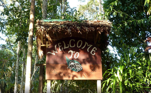 Sandoval Lake Lodge - Manu Tours Peru